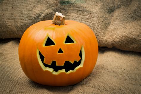 How did pumpkins go from being an ordinary squash to a Halloween staple? In Pumpkin: The Curious History of An American Icon, Cindy Ott documents the surprising importance of pumpkins throughout ...